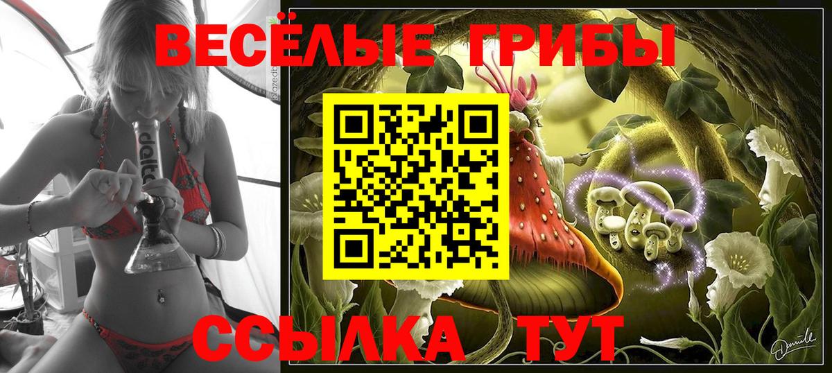 Туймазы  Псилоцибиновые грибы мухоморы  Вход с VPN 