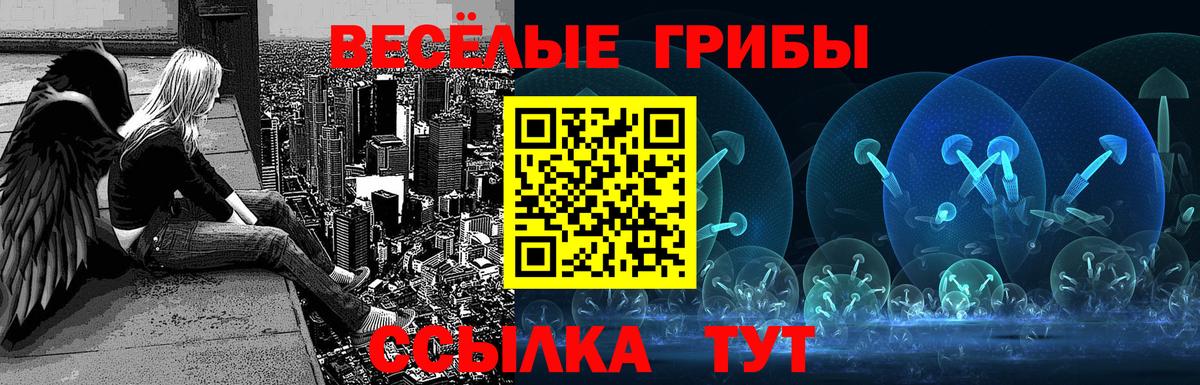 Галлюциногенные грибы Cubensis Туймазы
